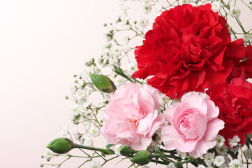 Red and pink Carnation Bouquet. (horizontal)