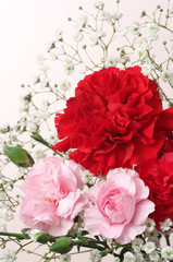 Red and pink Carnation Bouquet. (vertical)