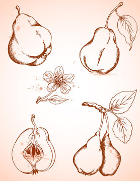 vintage pears