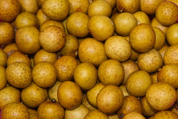 Longan