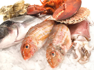 Frischer Fisch auf Eis