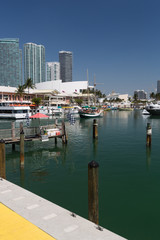 Fototapeta na wymiar Marina w Miami Floride