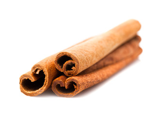 Cinnamon sticks isolated