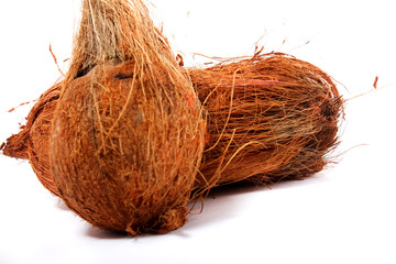 coconut