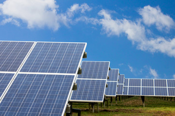 Feld mit vielen Solar Panels