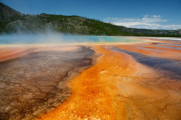 Yellowstone NP