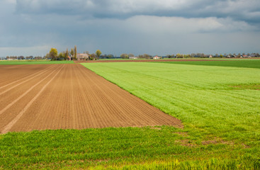 Dutch landscape just before the rain