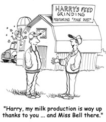Dairy Cow Milk Production is Up