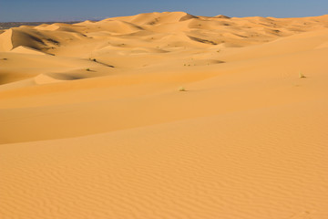 Dunes of Sahara desert in Morocco