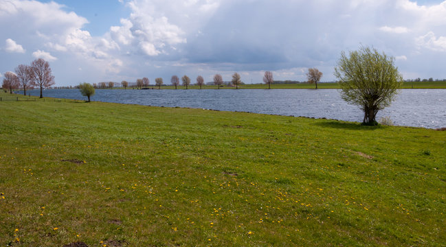 Overlooking the river in spring