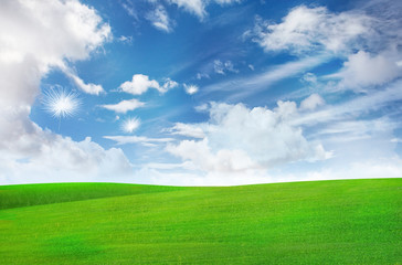 Dandelion flying over grass plain under blue sky