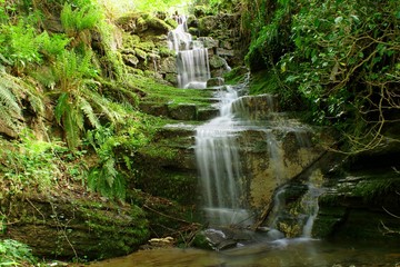 Fototapeta na wymiar small waterfall in a forest