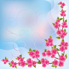 Background with sakura blossoms branch, Japanese cherry tree