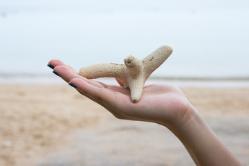 Coral on hand closeup