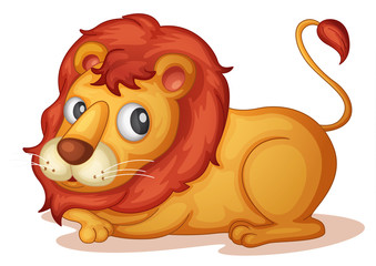 lion
