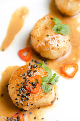 Scallop