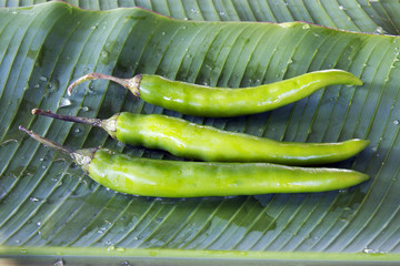 three green goat peppers on banana leaf