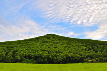 Fototapeta na wymiar small house at big green hill under blue cloud sky