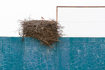 Stork nest over fronton wall - obrazy, fototapety, plakaty
