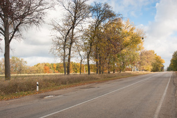 Fototapeta premium Autumn road