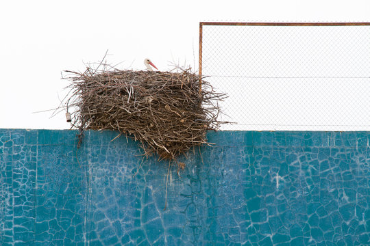 Stork Nest Over Fronton Wall