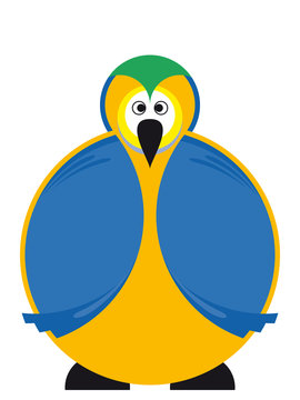 Papagei Bunter Vogel Farbenvielfalt