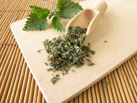 Brennnesselkraut, Urticae herba