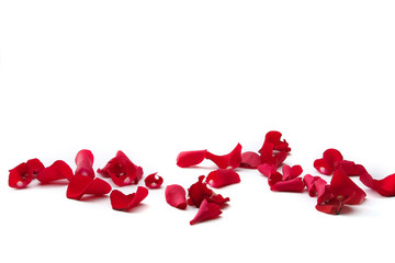 Naklejka premium close up of rose petals on white background
