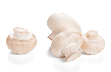 Fresh Mushrooms champignon Isolated on a white background