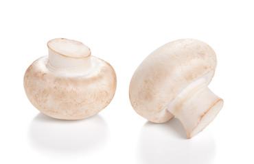 Fresh Mushrooms champignon Isolated on a white background