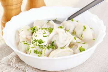 Traditional Russian cuisine. Pelmeni with broth