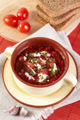 Russian cuisine. Borscht