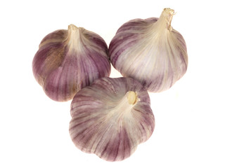Purple Garlic Cloves