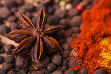 Closeup of spices composition, anise, cinnamon, paprica, curry,