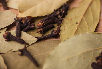 Closeup of spices composition, anise, cinnamon, paprica, curry,