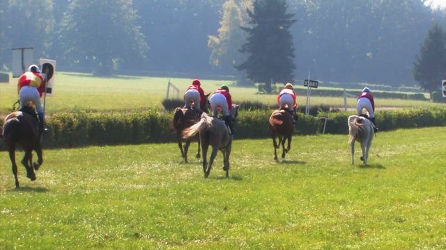 Horse races -slow motion