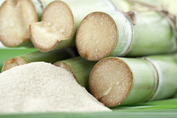 canne à sucre et sucre de canne en poudre