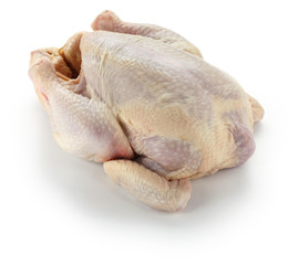 raw whole chicken