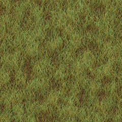 grass background