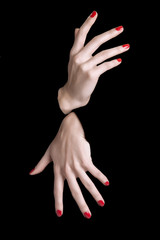 elegant woman hands isolated, manos mujer aislado