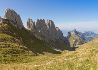 Fototapeta na wymiar zielona dolina, Szwajcaria