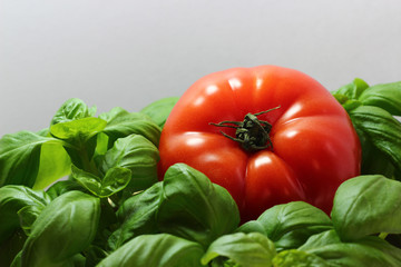 Tomate mit Basilikum