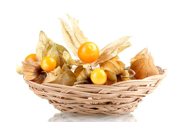 Physalis in basket isolated on white