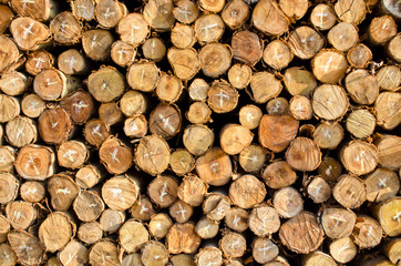 pile of firewood logs background