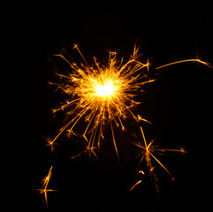 Fototapeta premium beautiful sparkler on black background