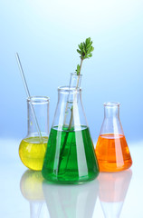 Different laboratory glassware with color liquid