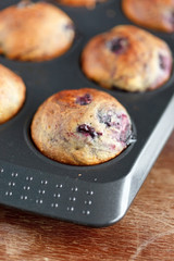 blueberries muffins