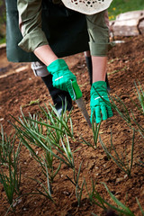 Naklejka premium Garden work