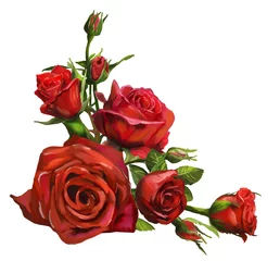 Crédence de cuisine en verre imprimé Roses Décorations de fleurs de roses rouges