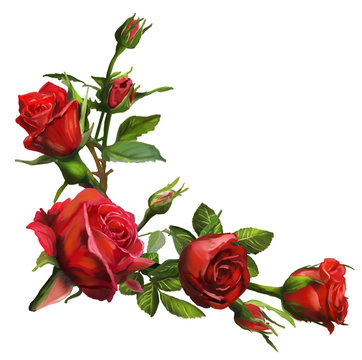 Fototapeta Decorations of red roses blooms
